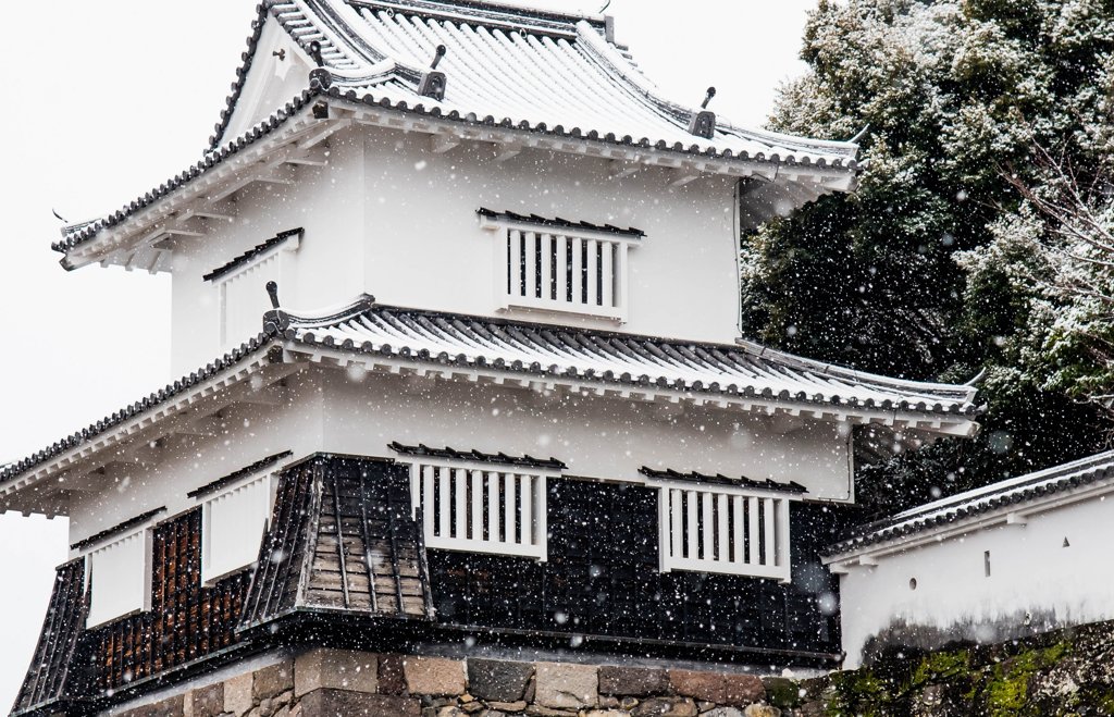 白壁に降る雪