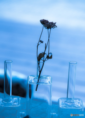 グラス瓶の中のお花