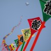 hata/hata/hata//////龍