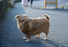 お見送り・・