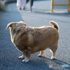 お見送り・・