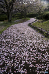 花の散歩道