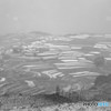淡雪