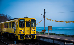 青空と海と列車と黄色いハンカチ