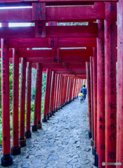 鳥居の参道