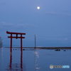 満月の夜に