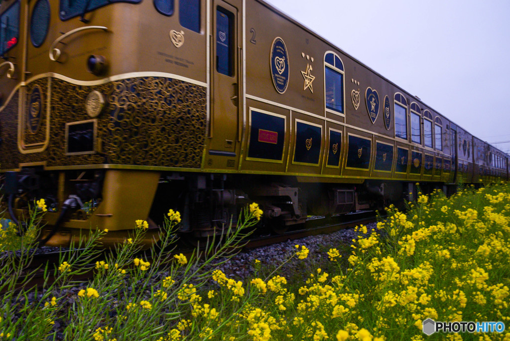 春のスィーツ列車(^^♪