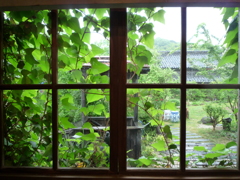 雨音を聞きながら・・ 雨音を聞きながら・・