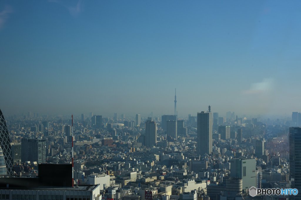 東京