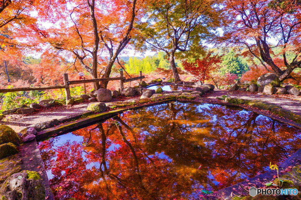 　 紅葉色