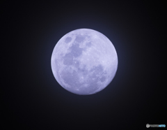 明日は満月