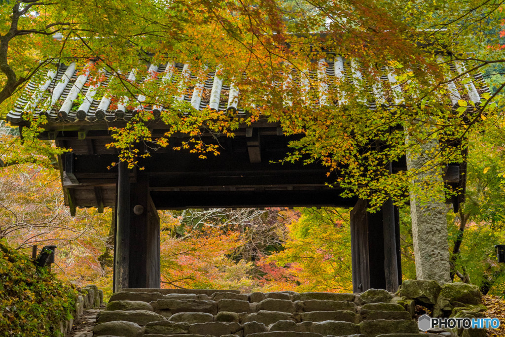 　 紅葉と黒門