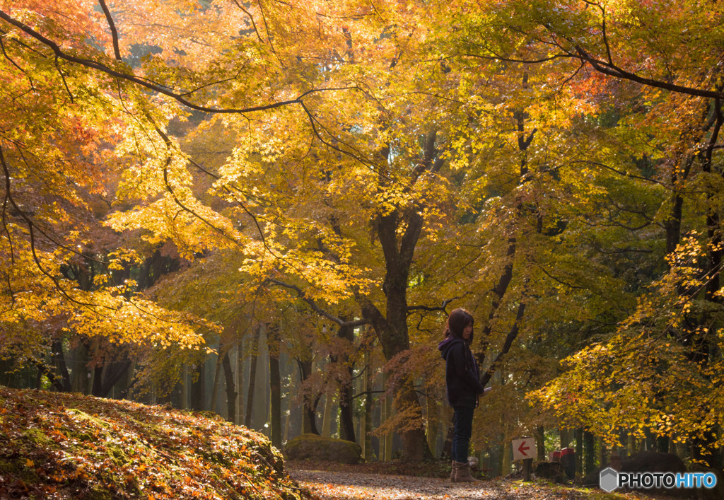 　 紅葉に包まれて