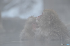 気持ちよかぁ～～。