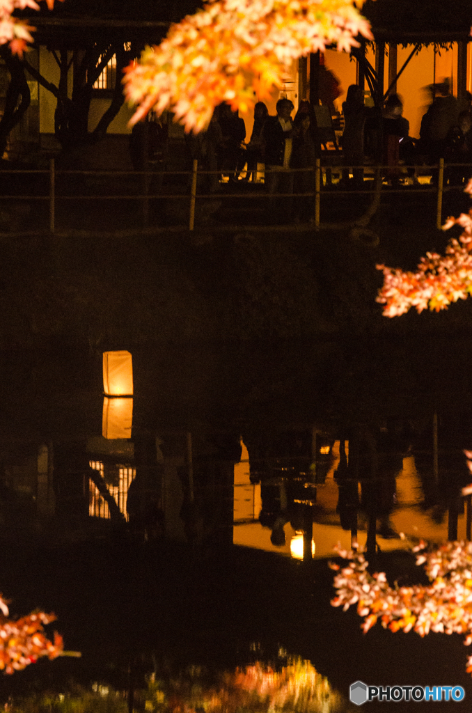 晩秋の夜に