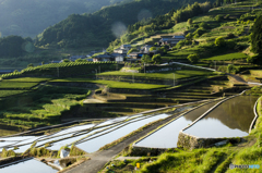 棚田風景