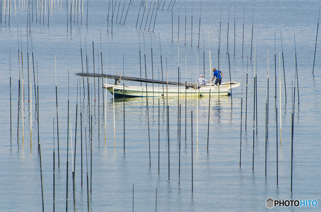 有明の海苔漁