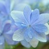 Pretty light blue ♪