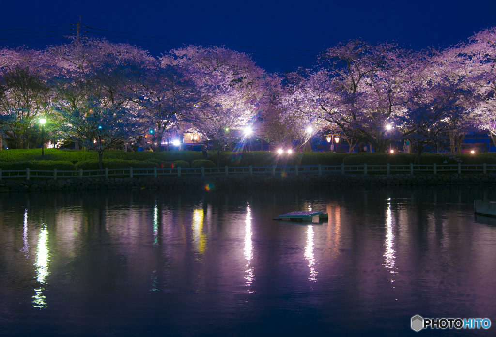 大村公園ライトアップ