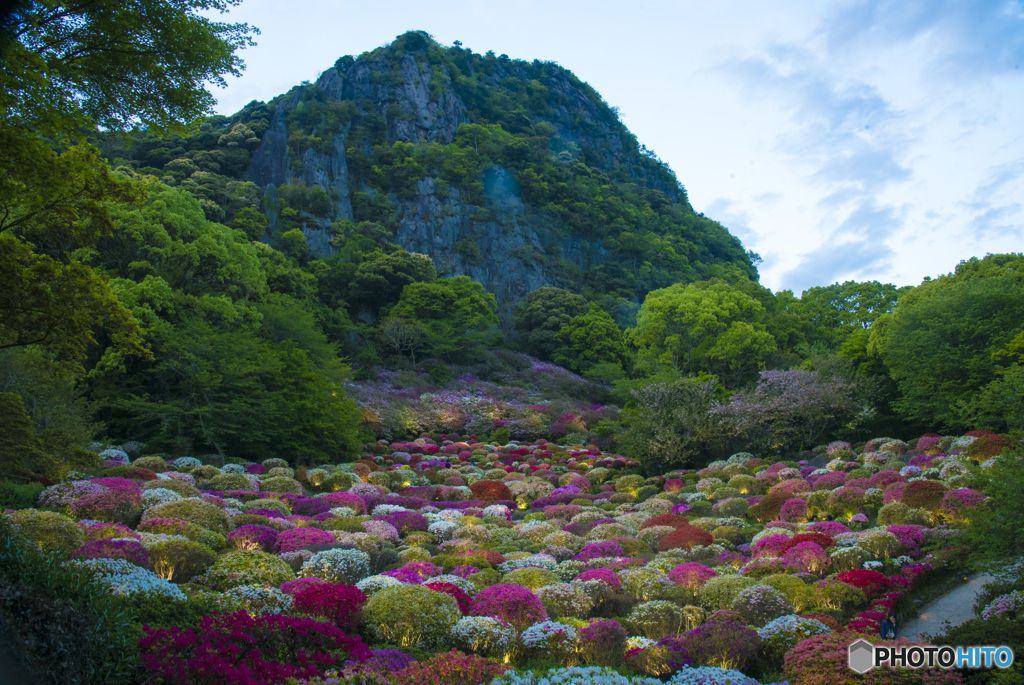 御船山つつじ谷の夕暮れ