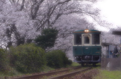 桜の駅の記憶