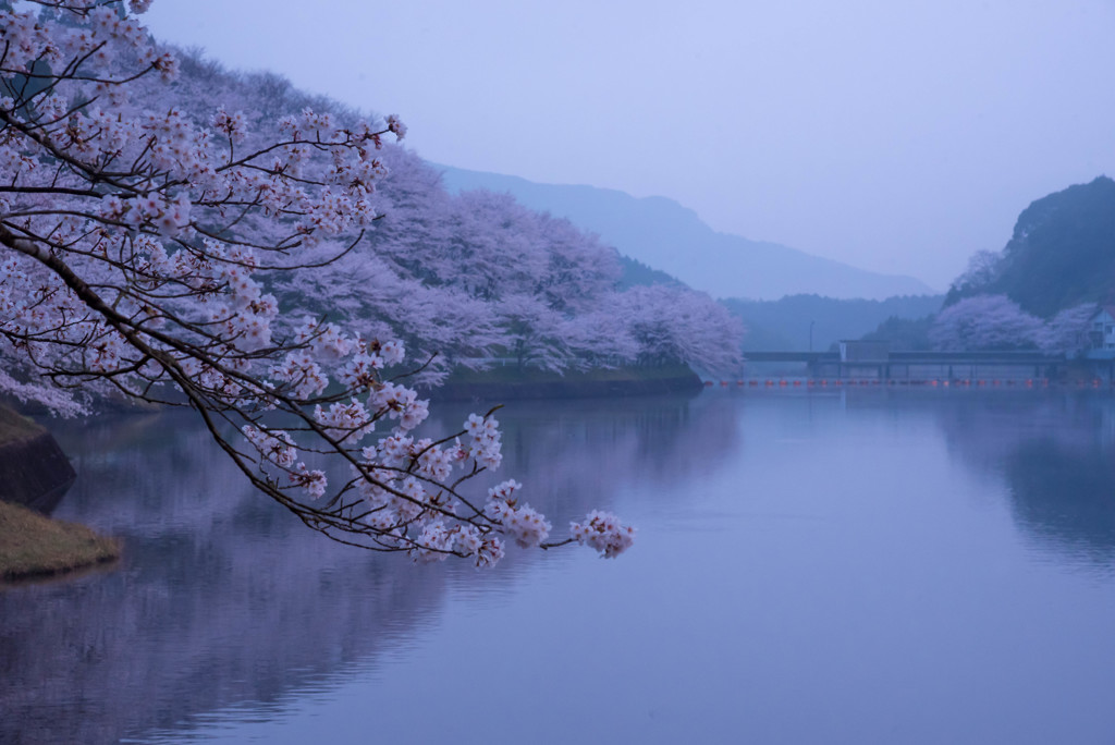 夜明けのダム湖にて