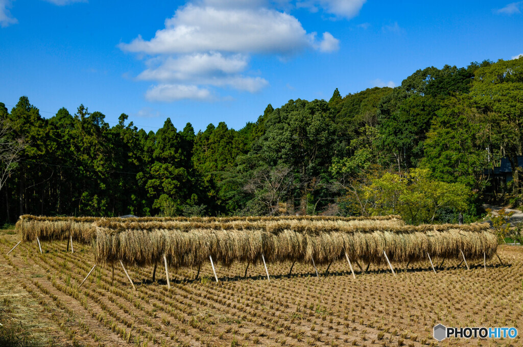 山里の秋