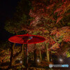 紅葉谷ライトアップ