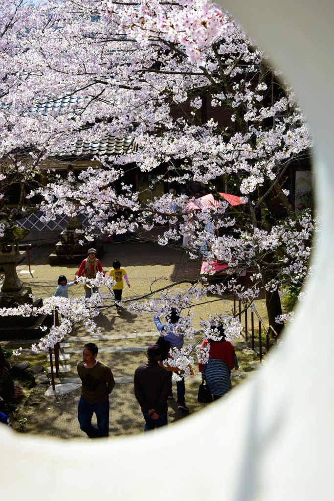 御花見　♪