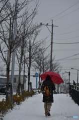 雪の日