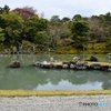 天龍寺庭園