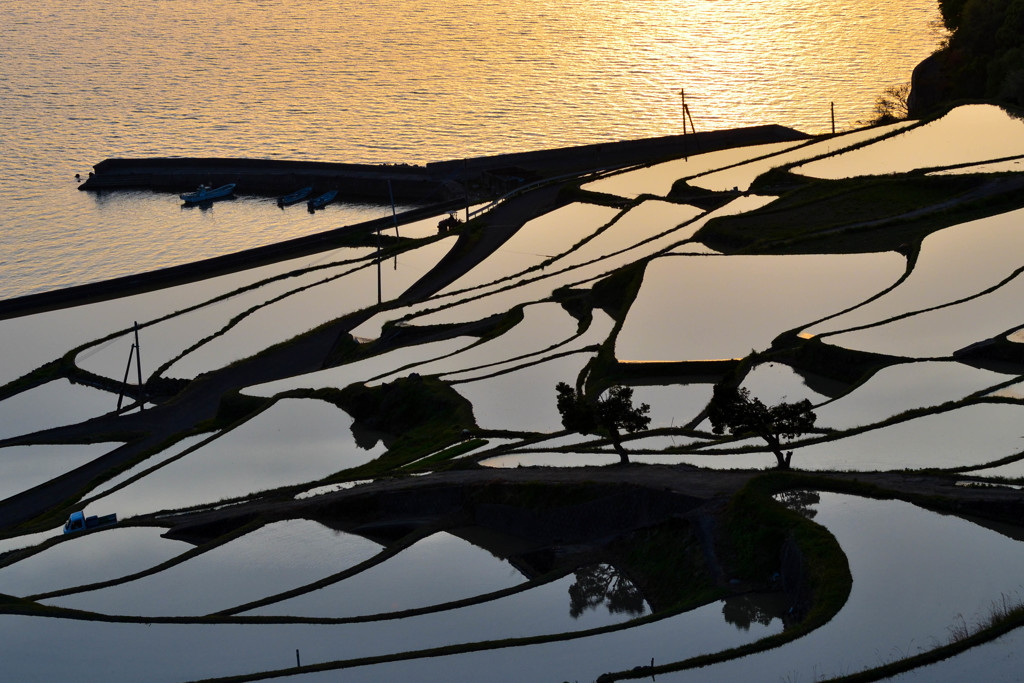 棚田夕暮れの色