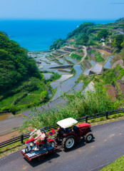 田植えの頃