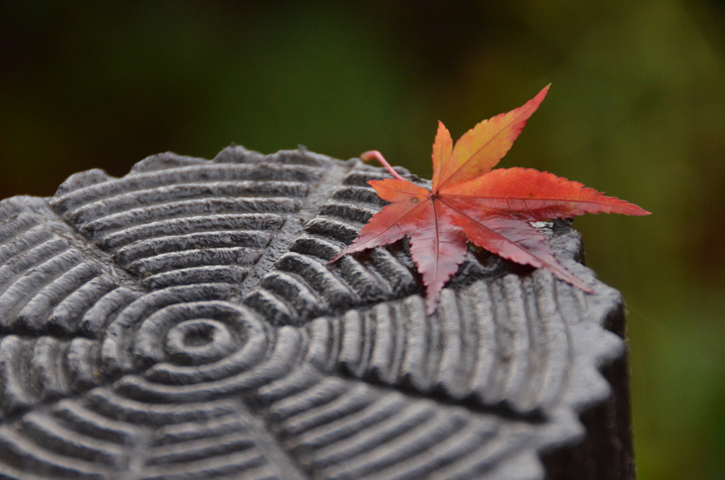 紅葉ひとひら