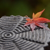 紅葉ひとひら