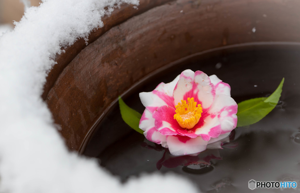 雪の日に