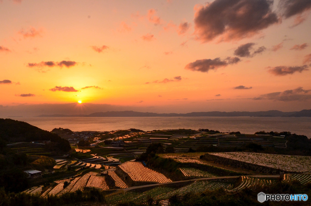 夕日沈む棚畑