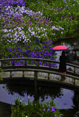 誘いの花の園