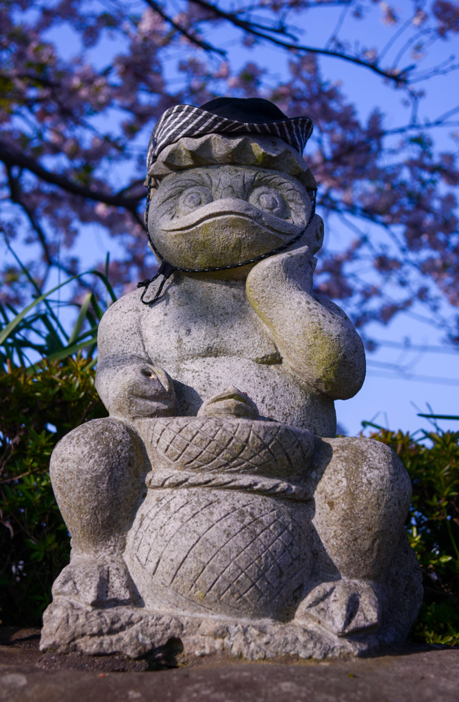 お花見を満喫・・