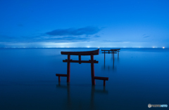 夜の海中鳥居