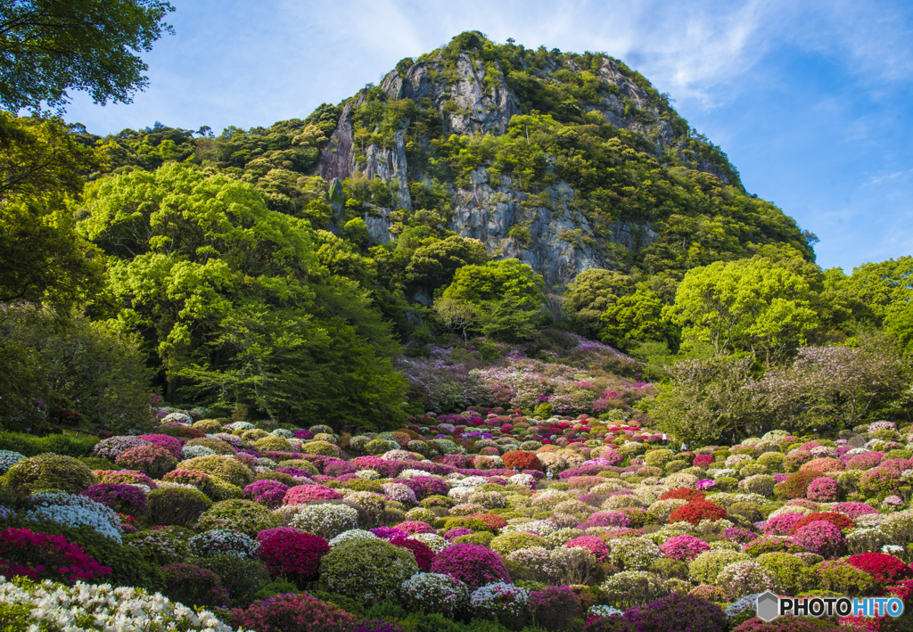 御船山つつじ園