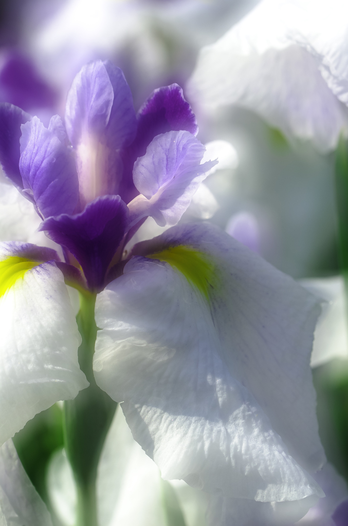 優しさに包まれて