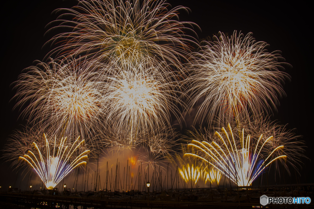 夏の夜空に花が咲く