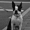 散歩の途中で・・