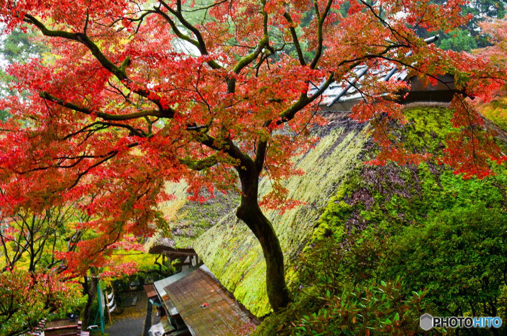 晩秋の寺