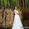 White dress in the bamboo