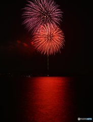 海上の華