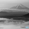 Monochrome