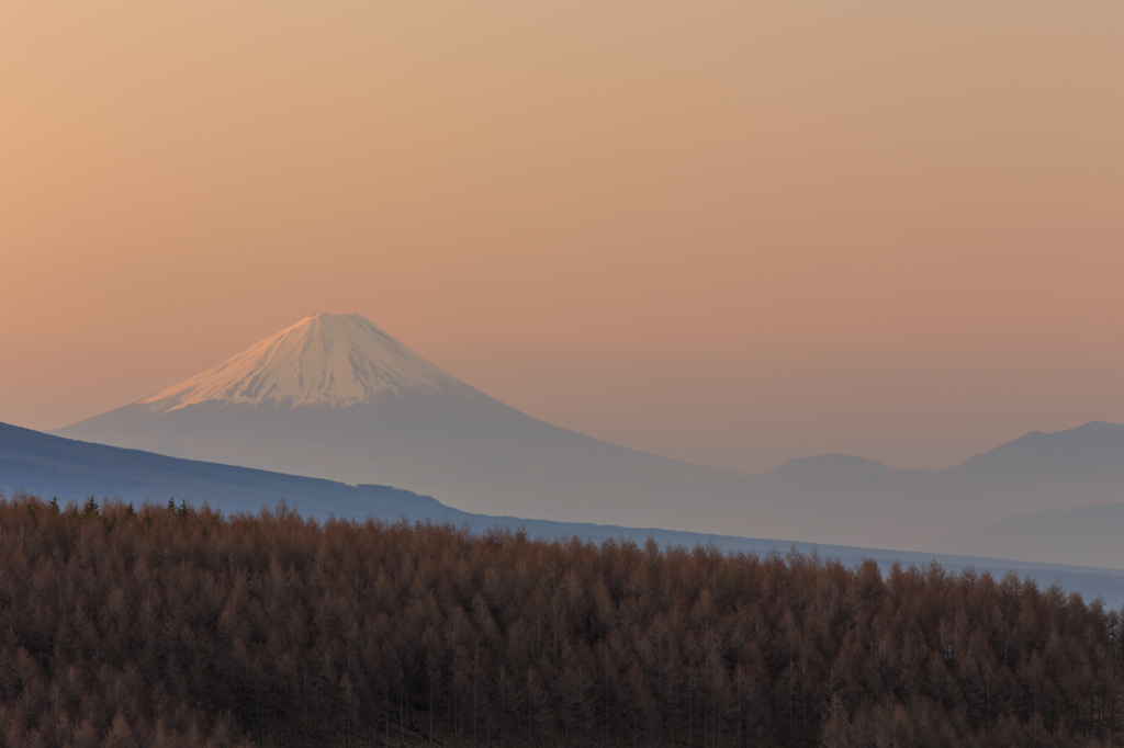 無の境地にて