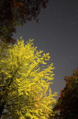 秋空澄んで星輝く